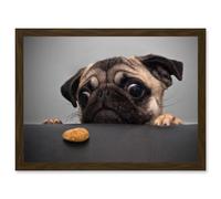 Artery8 Pug Dog Treat Cookie Eyes A4 Artwork Framed Wall Art Print