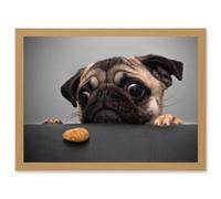 Artery8 Pug Dog Treat Cookie Eyes A4 Artwork Framed Wall Art Print in Light Oak Artery8 Light Oak