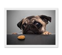 Pug Dog Treat Cookie Eyes A4 Artwork Framed Wall Art Print Artery8 White One Size