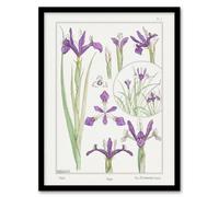 Artery8 Purple Iris Flower Vintage Floral Framed Wall Art Print Verneuil in White | Size: A4 Artery8 White A4