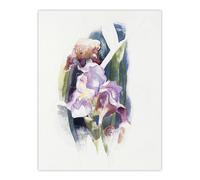 Artery8 Purple Iris Flower Watercolour Demuth Wall Art Poster Print in White | Size: W12" x H16" Artery8 White W12" x H16"