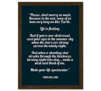 Artery8 Quote Robin Williams Don't Worry Life Is Spectacular A4 Artwork Framed Wall Art Print in Brown Artery8 Brown