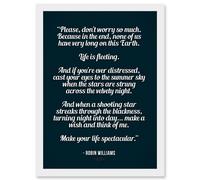 Artery8 Quote Robin Williams Don't Worry Life Is Spectacular A4 Artwork Framed Wall Art Print in White Artery8 White