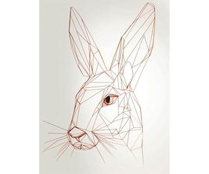 Artery8 Rabbit Polygon Head Minimal Line Drawing Portrait Large Wall Art Poster Print Thick Paper 18X24 Inch