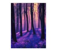 Artery8 Realistic Purple Bluebell Forest Artwork Dawn Sun Living Room Extra Large XL Wall Art Poster Print