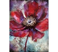 Artery8 Red Anemone Flower Bloom Watercolour Illustration Large Wall Art Poster Print Thick Paper 18X24 Inch