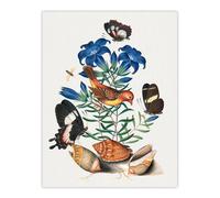 Artery8 Red Avadavat Swallowtail & Shells Bolton Wall Art Poster Print | Size: W12" x H16" Artery8 Multicolor W12" x H16"