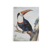 Artery8 Red Billed Toucan Bird Painting Schouman Canvas Wall Art Print in White | Size: W18" x H24" Artery8 White W18" x H24"