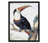 Artery8 Red Billed Toucan Bird Painting Schouman Framed Wall Art Print in White | Size: A4 Artery8 White A4