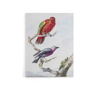 Artery8 Red Green Parrot & Bird Watercolour Schouman Canvas Wall Art Print in White | Size: W24" x H32" Artery8 White W24" x H32"