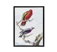Artery8 Red Green Parrot & Bird Watercolour Schouman Framed Canvas Wall Art in White | Size: W18" x H24" Artery8 White W18" x H24"
