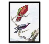 Artery8 Red Green Parrot & Bird Watercolour Schouman Framed Wall Art Print in White | Size: A4 Artery8 White A4