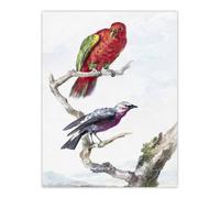 Artery8 Red Green Parrot & Bird Watercolour Schouman Wall Art Print in White | Size: W12" x H16" Artery8 White W12" x H16"