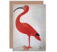 Artery8 Red Ibis Scarlet Vintage Retro for Him Her All Occasions Greeting Card Artery8 Red
