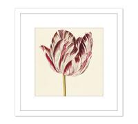 Artery8 Red White Tulip Flowers Nature Painting 8X8 Inch Square Wooden Framed Wall Art Print Picture with Mount Artery8 White