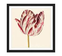 Artery8 Red White Tulip Flowers Nature Painting Square Wooden Framed Wall Art Print Picture 16X16 Inch