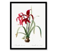 Artery8 Redoute Framed Wall Art Aztec Lily Vintage Botanical Illustration in White | Size: A4 Artery8 White A4