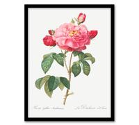 Artery8 Redoute Framed Wall Art French Rose Vintage Botanical Illustration in White | Size: A3 Artery8 White A3