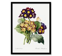 Artery8 Redoute Framed Wall Art Primrose Flowers Vintage Floral Illustration in White | Size: A4 Artery8 White A4