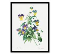 Artery8 Redoute Framed Wall Art Print Vintage Wild Pansy Flower Illustration - A4 Size