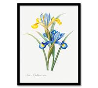 Artery8 Redoute Framed Wall Art Spanish Iris Vintage Botanical Illustration - A4 Size