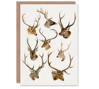 Artery8 Richard Lydekker Art Card Vintage Illustration of Deer Species in White Artery8 White