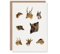 Artery8 Richard Lydekker Art Card Wildlife Animals Vintage Illustration in White Artery8 White