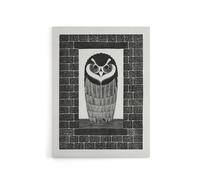 Artery8 Ringuil Owl Bird on a Window De Mesquita Canvas Wall Art Print in White | Size: W12" x H16" Artery8 White W12" x H16"