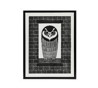 Artery8 Ringuil Owl Bird on a Window De Mesquita Framed Canvas Wall Art Print in White | Size: W18" x H24" Artery8 White W18" x H24"
