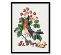 Artery8 Robin Bird And Wild Strawberry Plant Bolton Framed Wall Art Print A4