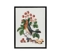 Artery8 Robin Bird & Wild Strawberry Plant Bolton Black Framed Canvas Art in White | Size: W24" x H32" Artery8 White W24" x H32"