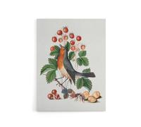 Artery8 Robin Bird & Wild Strawberry Plant Bolton Canvas Wall Art in White | Size: W12" x H16" Artery8 White W12" x H16"