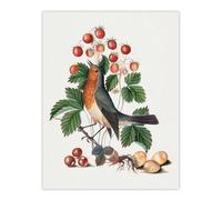 Artery8 Robin Bird & Wild Strawberry Plant Bolton Wall Art Poster Print in White | Size: W24" x H32" Artery8 White W24" x H32"
