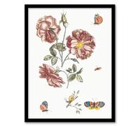 Artery8 Rose Flowers Butterflies & a Snail Teyler Framed Wall Art Print in White | Size: A3 Artery8 White A3