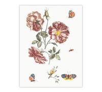 Artery8 Rose Flowers Butterflies And A Snail Teyler Wall Art Poster Print 12X16"