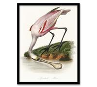 Artery8 Roseate Spoonbill Wall Art Print Framed Poster 12x16 inch Artwork By Couaihac : Tropical Bird Illustration Ideal For Study Or Hallway Adding Colour Beauty And Exotic Serenity