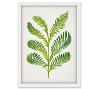 Doppelganger33 LTD Royal Fern Leaf Modern Watercolour Botanical Artwork Framed Wall Art Print A4