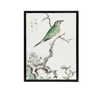 Artery8 Ruby Throat Bird & Wild Camomile Framed Canvas Wall Art Print Kashu | Size: W18" x H24" Artery8 Multicolor W18" x H24"