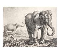 Artery8 Saftleven Two Elephants In A Landscape Extra Large XL Wall Art Poster Print