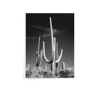 Artery8 Saguaro Cactus Arizona Carol M Highsmith Canvas Wall Art Print in Grey | Size: W18" x H24" Artery8 Grey W18" x H24"
