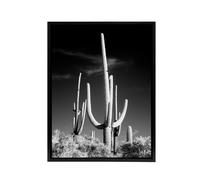 Artery8 Saguaro Cactus Arizona Carol M Highsmith Framed Canvas Wall Art Print in Grey | Size: W18" x H24" Artery8 Grey W18" x H24"