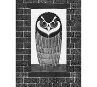 Artery8 Samuel Jessurun De Mesquita Ring Owl Art Print Canvas Premium Wall Decor Poster Mural