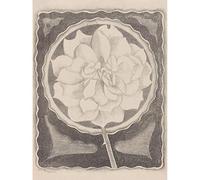 Artery8 Samuel Jessurun De Mesquita Rose Art Print Canvas Premium Wall Decor Poster Mural