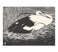 Artery8 Samuel Jessurun De Mesquita Stork Magoear Stork Unframed Wall Art Print Poster Home Decor Premium