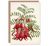 Artery8 Sarah Featon Art Card New Zealand Kaka Beak Plant Flowers