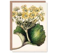 Artery8 Sarah Featon Art Card New Zealand Korikori Buttercup Flower