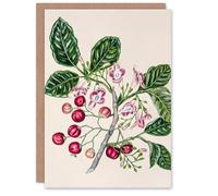 Artery8 Sarah Featon Art Card New Zealand Puriri Vitex Lucens Flowers