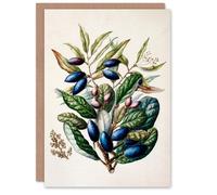 Artery8 Sarah Featon Art Card New Zealand Taraire Fruit Branch