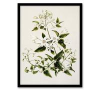 Artery8 Sarah Featon Framed Wall Art New Zealand Pikiarero White Clematis Flowers - A4 Size