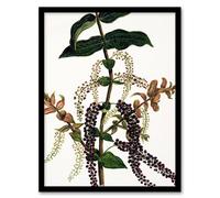 Artery8 Sarah Featon Framed Wall Art New Zealand Tutu Plant Vintage Illustration in Beige | Size: A4 Artery8 Beige A4